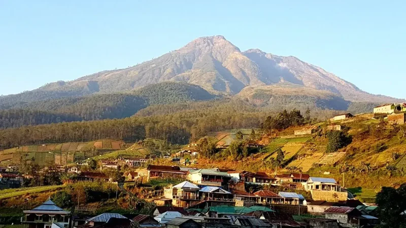 Foto : Ilustrasi kawasan Gunung Lawu yang terletak di perbatasan Jawa Timur dan Jawa Tengah. (Dok : ANTARA)