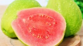 Foto : Ilustrasi Jambu Biji merah Yang Kaya Khasiat (Dok : Istimewa)