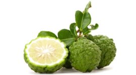 Foto  : Ilustrasi Jeruk Purut Yang kaya manfaat Untuk Kesehatan (Dok Alodokter)