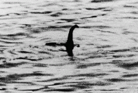Foto : Ilustrasi Gambar monster paling terkenal muncul pada tahun 1934 di puncak kegilaan Nessie, namun foto tersebut kemudian terungkap sebagai tipuan (Dok istimewa)