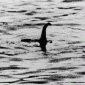 Foto : Ilustrasi Gambar monster paling terkenal muncul pada tahun 1934 di puncak kegilaan Nessie, namun foto tersebut kemudian terungkap sebagai tipuan (Dok istimewa)