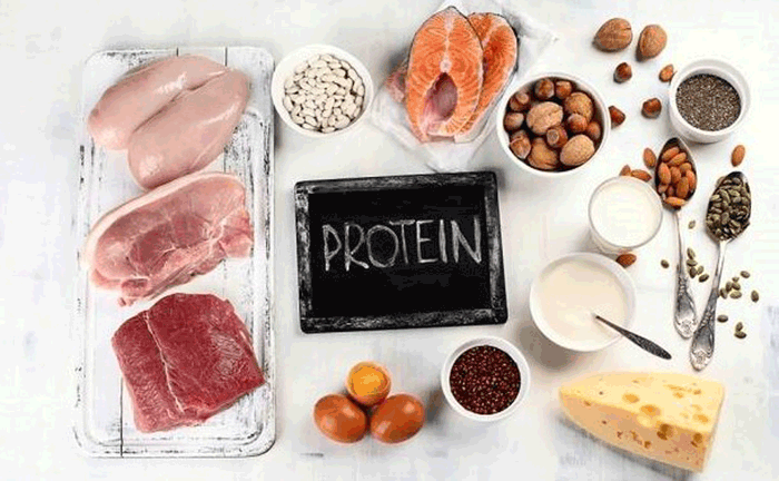 Foto : Ilustrasi Menu Mkanan Berprotein Tinggi ( Dok Alodokter)