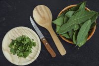 Foto : ilustrasi Daun Salam (Sumber : Freepik)