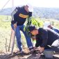 Foto : Waliota Sungai Penuh Alfin Goro dan Tanam Pohon Penghijau di Lokasi TPST,Sabtu 1 November 2025 (Dok :Roli)