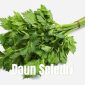 Foto : Daun Seledri (Dok : trendsatu.com)