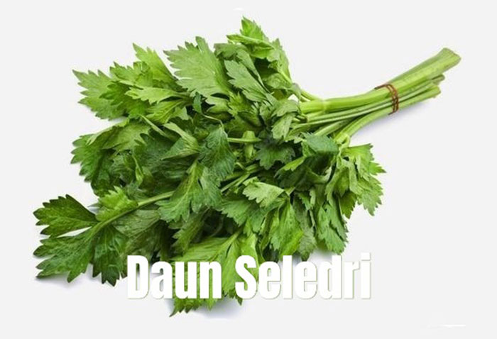Foto : Daun Seledri (Dok : trendsatu.com)