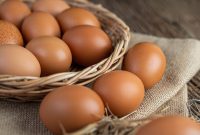 Foto : Telur (Sumber : Freepik)