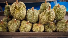 Durian Kaya Akan Manfaat Untuk Kesehatan