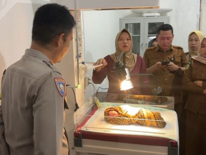 Penemuan Bayi Laki Laki di Mukai Tinggi