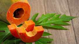 Manfaat Daun Pepaya Untuk Kesehatan Tubuh
