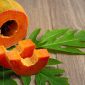 Manfaat Daun Pepaya Untuk Kesehatan Tubuh