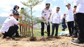Wako Alfin Tanam Pohon di Bantaran Sungai Batang Merao