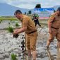 Bupati Kerinci Monadi turun langsung ke sawah memimpin penanaman padi varietas Ciherang di lahan yang sempat terbengkalai selama tiga tahun.