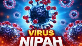 ilustrasi Virus Nipah Yang Mengintai ASIA