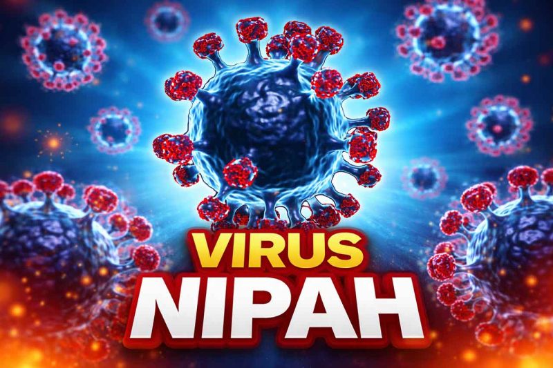 ilustrasi Virus Nipah Yang Mengintai ASIA