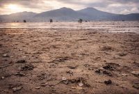 Debit Air Danau Kerinci Merosot Tajam