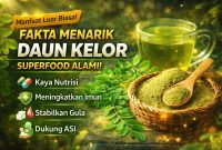 Fakta Daun Kelor Untuk Kesehatan